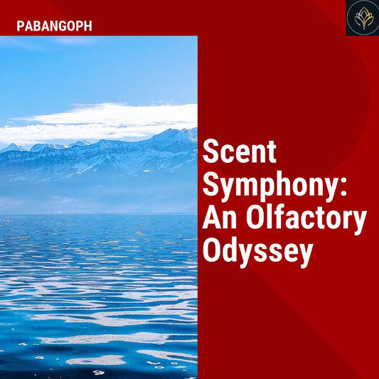 Scent Symphony: An Olfactory Odyssey