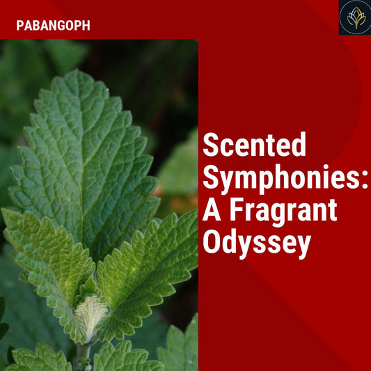Scented Symphonies: A Fragrant Odyssey