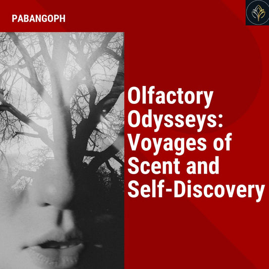 Olfactory Odysseys: Voyages of Scent and Self-Discovery