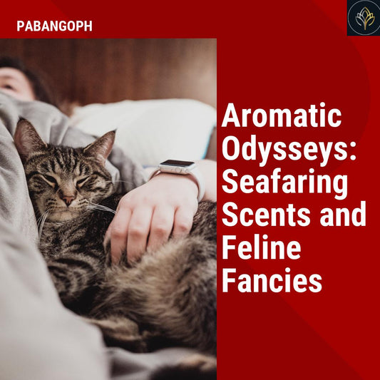 Aromatic Odysseys: Seafaring Scents and Feline Fancies