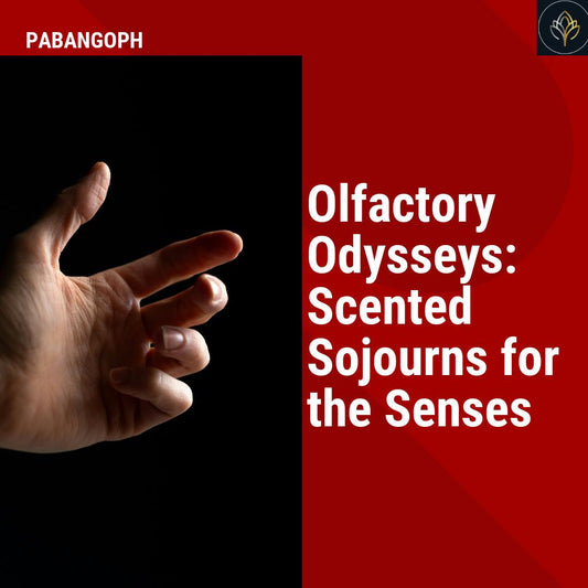 Olfactory Odysseys: Scented Sojourns for the Senses