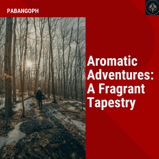 Aromatic Adventures: A Fragrant Tapestry