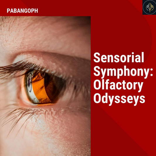 Sensorial Symphony: Olfactory Odysseys