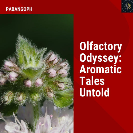 Olfactory Odyssey: Aromatic Tales Untold