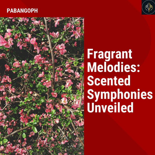 Fragrant Melodies: Scented Symphonies Unveiled