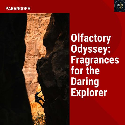 Olfactory Odyssey: Fragrances for the Daring Explorer