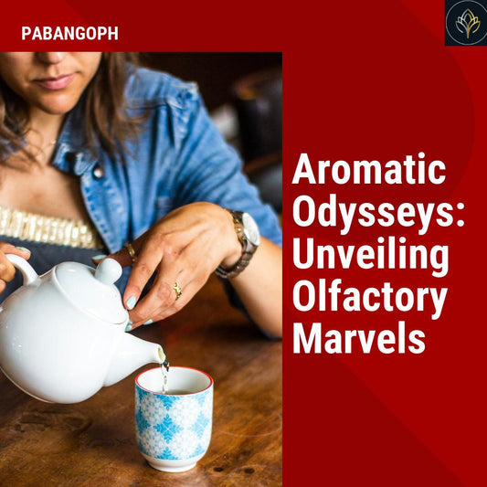 Aromatic Odysseys: Unveiling Olfactory Marvels