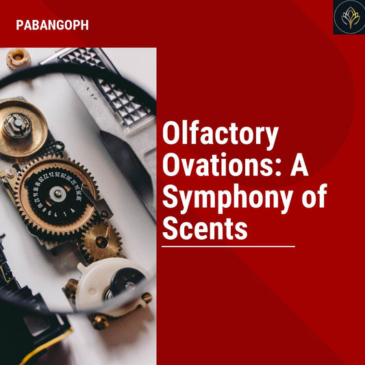 Olfactory Ovations: A Symphony of Scents