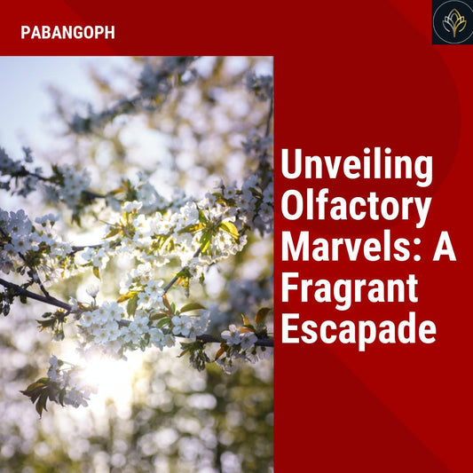 Unveiling Olfactory Marvels: A Fragrant Escapade