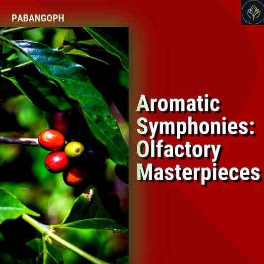 Aromatic Symphonies: Olfactory Masterpieces