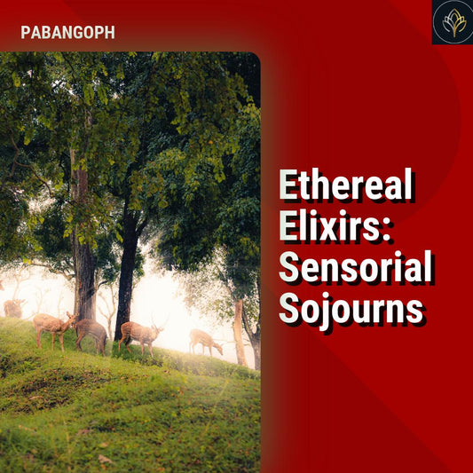 Ethereal Elixirs: Sensorial Sojourns