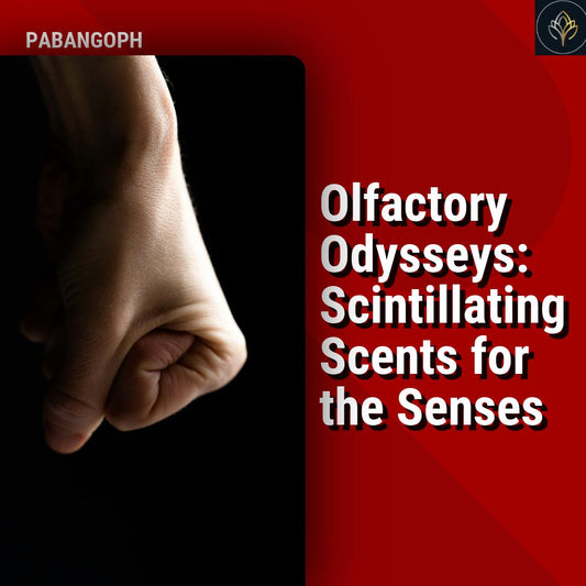 Olfactory Odysseys: Scintillating Scents for the Senses