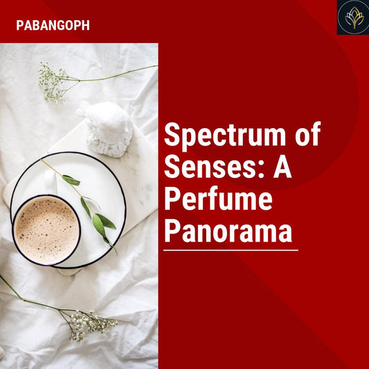 Spectrum of Senses: A Perfume Panorama