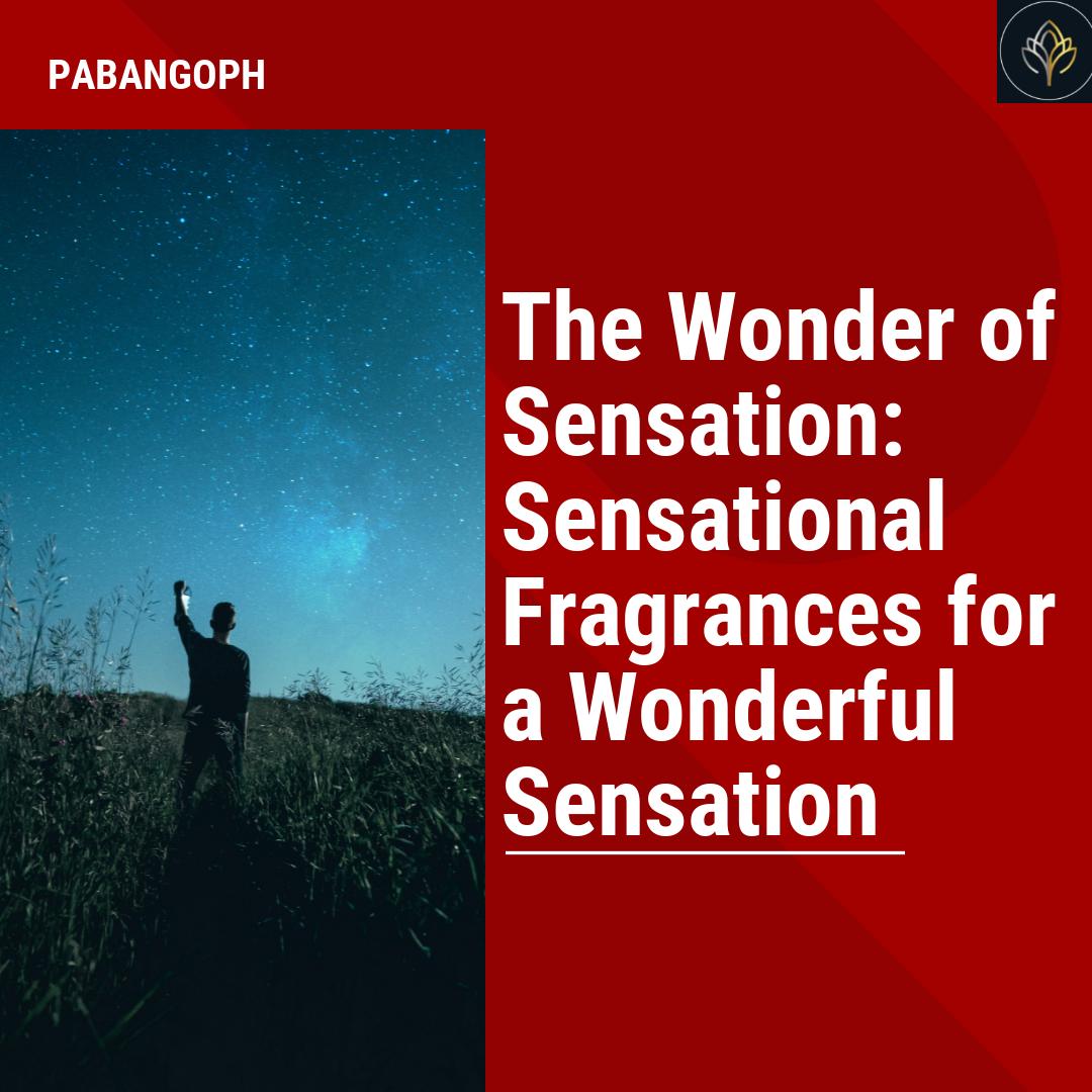 The Wonder of Sensation: Sensational Fragrances for a Wonderful Sensat –  PabangoPH