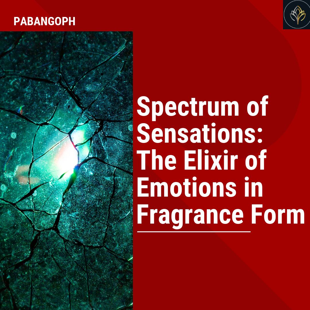 Emotions Elixir Spectrum of Sensations: The Elixir of Emotions in Fragrance Form ...