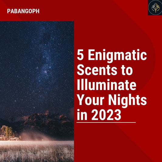 5 Enigmatic Scents to Illuminate Your Nights in 2023