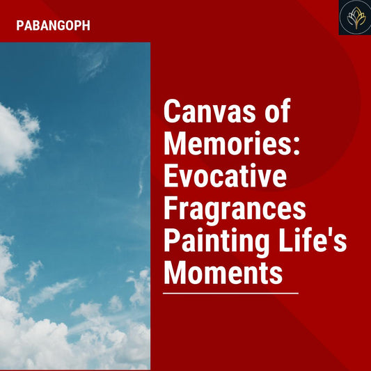 Canvas of Memories: Evocative Fragrances Painting Life's Moments