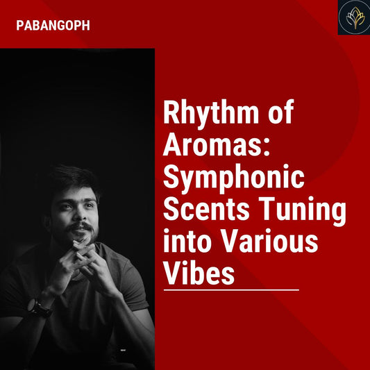 Rhythm of Aromas: Symphonic Scents Tuning into Various Vibes