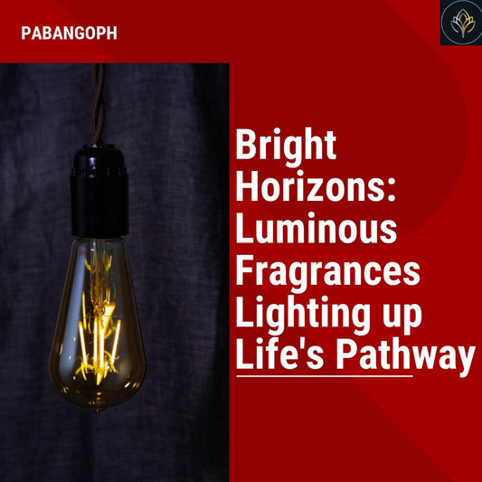 Bright Horizons: Luminous Fragrances Lighting up Life's Pathway