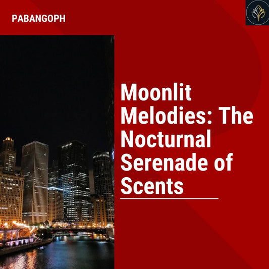 Moonlit Melodies: The Nocturnal Serenade of Scents