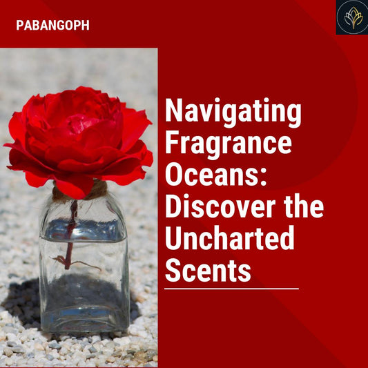 Navigating Fragrance Oceans: Discover the Uncharted Scents