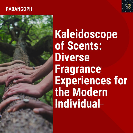 Kaleidoscope of Scents: Diverse Fragrance Experiences for the Modern Individual