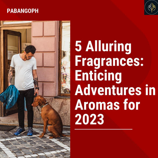 5 Alluring Fragrances: Enticing Adventures in Aromas for 2023
