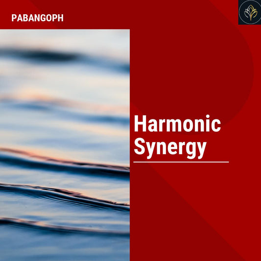 Harmonic Synergy