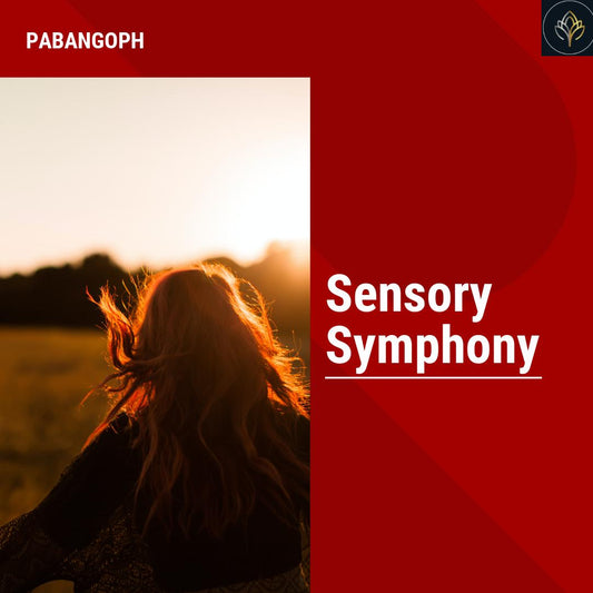 Sensory Symphony