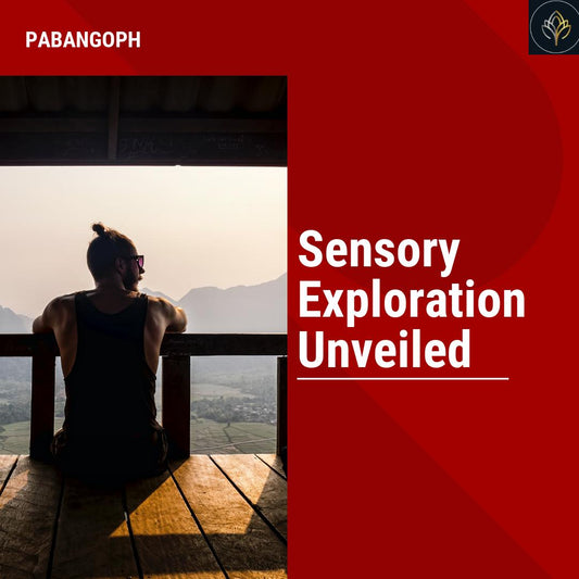 Sensory Exploration Unveiled