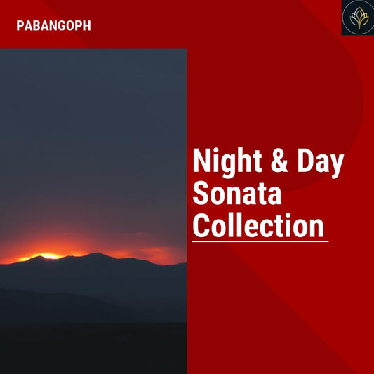 Night & Day Sonata Collection