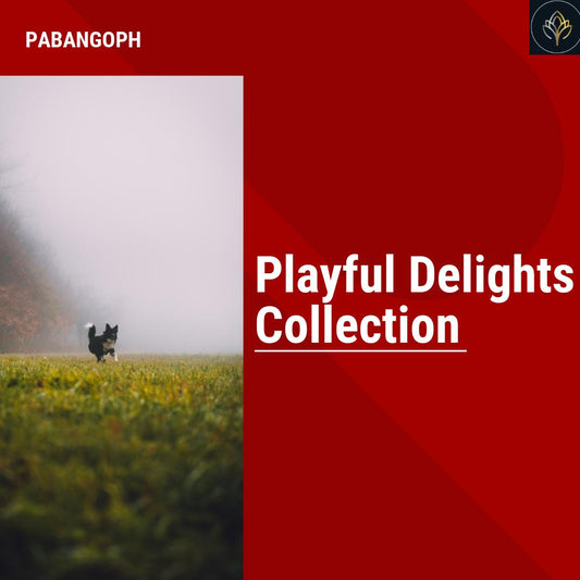 Playful Delights Collection