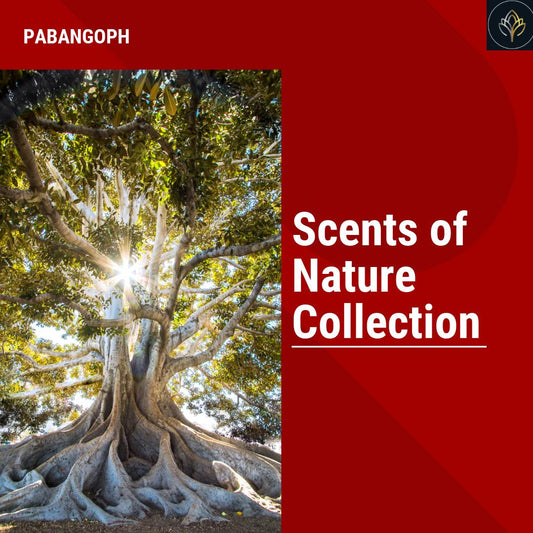 Scents of Nature Collection