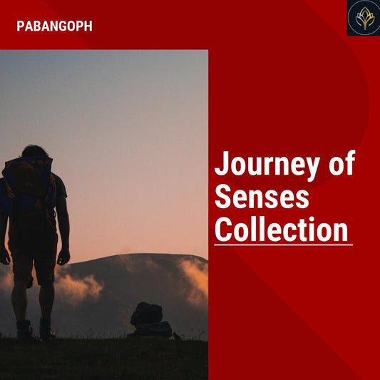 Journey of Senses Collection