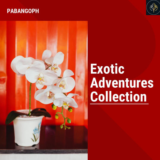 Exotic Adventures Collection