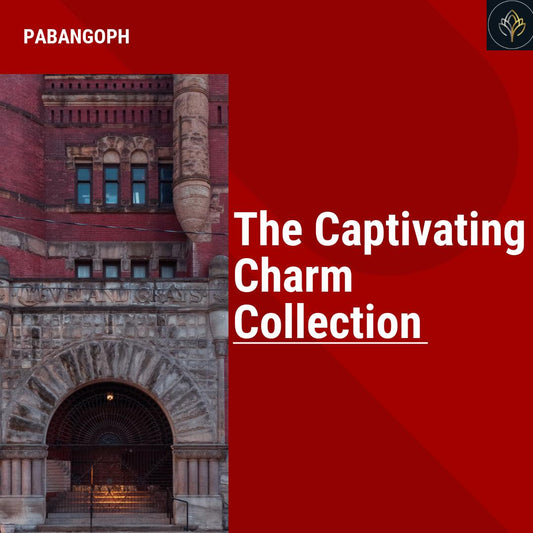 The Captivating Charm Collection