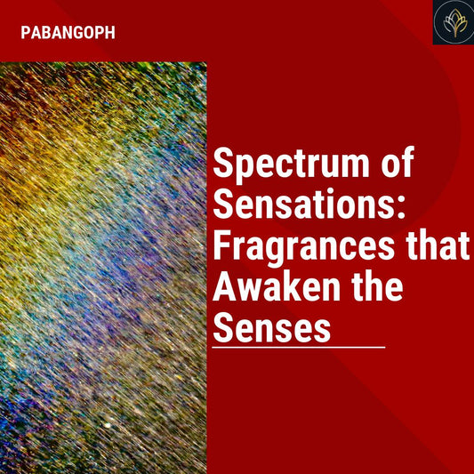 Spectrum of Sensations: Fragrances that Awaken the Senses