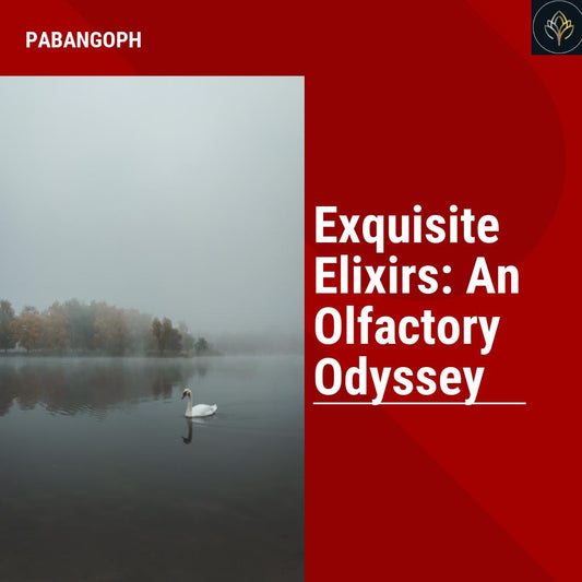 Exquisite Elixirs: An Olfactory Odyssey