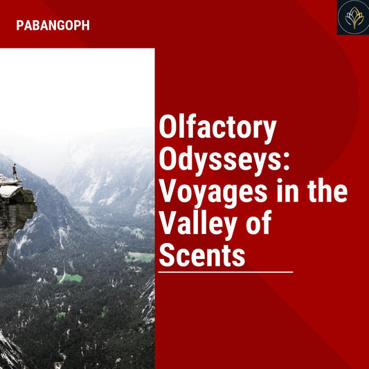 Olfactory Odysseys: Voyages in the Valley of Scents