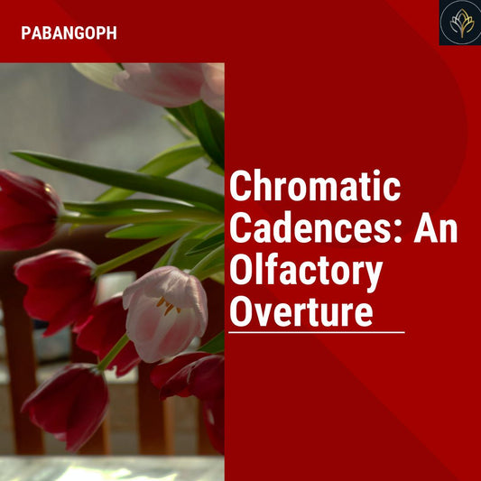 Chromatic Cadences: An Olfactory Overture