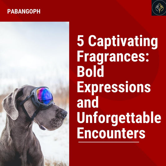 5 Captivating Fragrances: Bold Expressions and Unforgettable Encounters