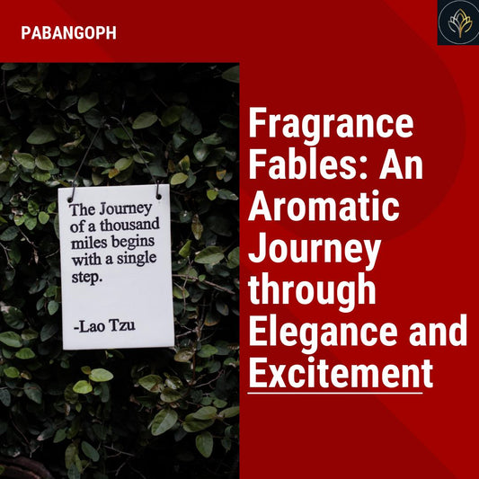 Fragrance Fables: An Aromatic Journey through Elegance and Excitement