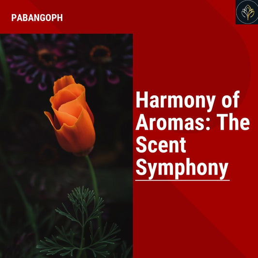 Harmony of Aromas: The Scent Symphony