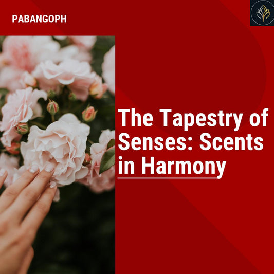 The Tapestry of Senses: Scents in Harmony