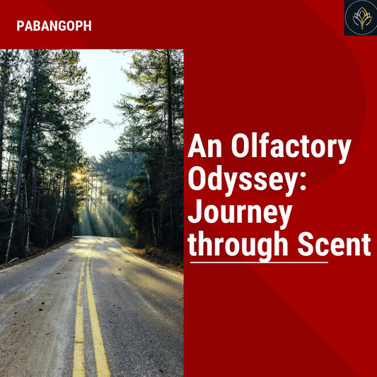 An Olfactory Odyssey: Journey through Scent