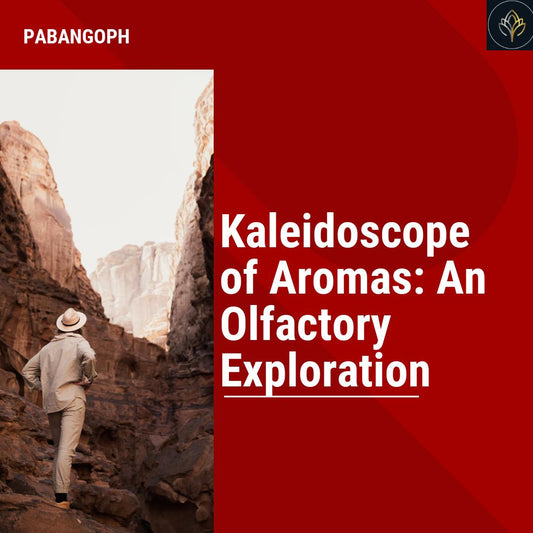 Kaleidoscope of Aromas: An Olfactory Exploration