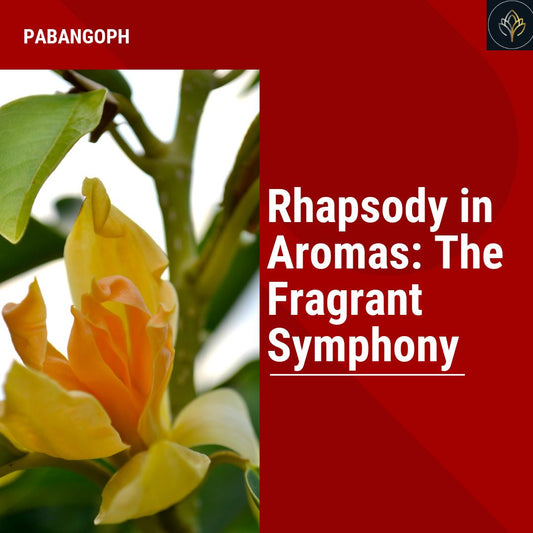 Rhapsody in Aromas: The Fragrant Symphony