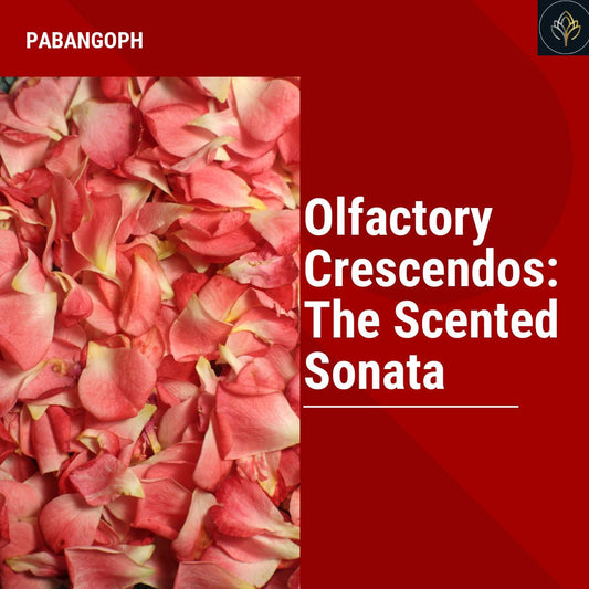 Olfactory Crescendos: The Scented Sonata