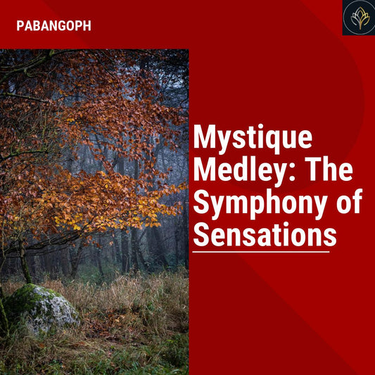 Mystique Medley: The Symphony of Sensations