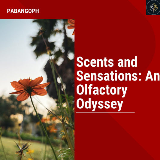 Scents and Sensations: An Olfactory Odyssey